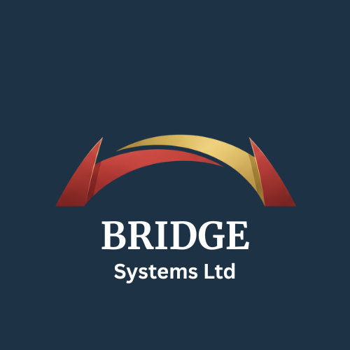 BRIDGE Leadership Framework